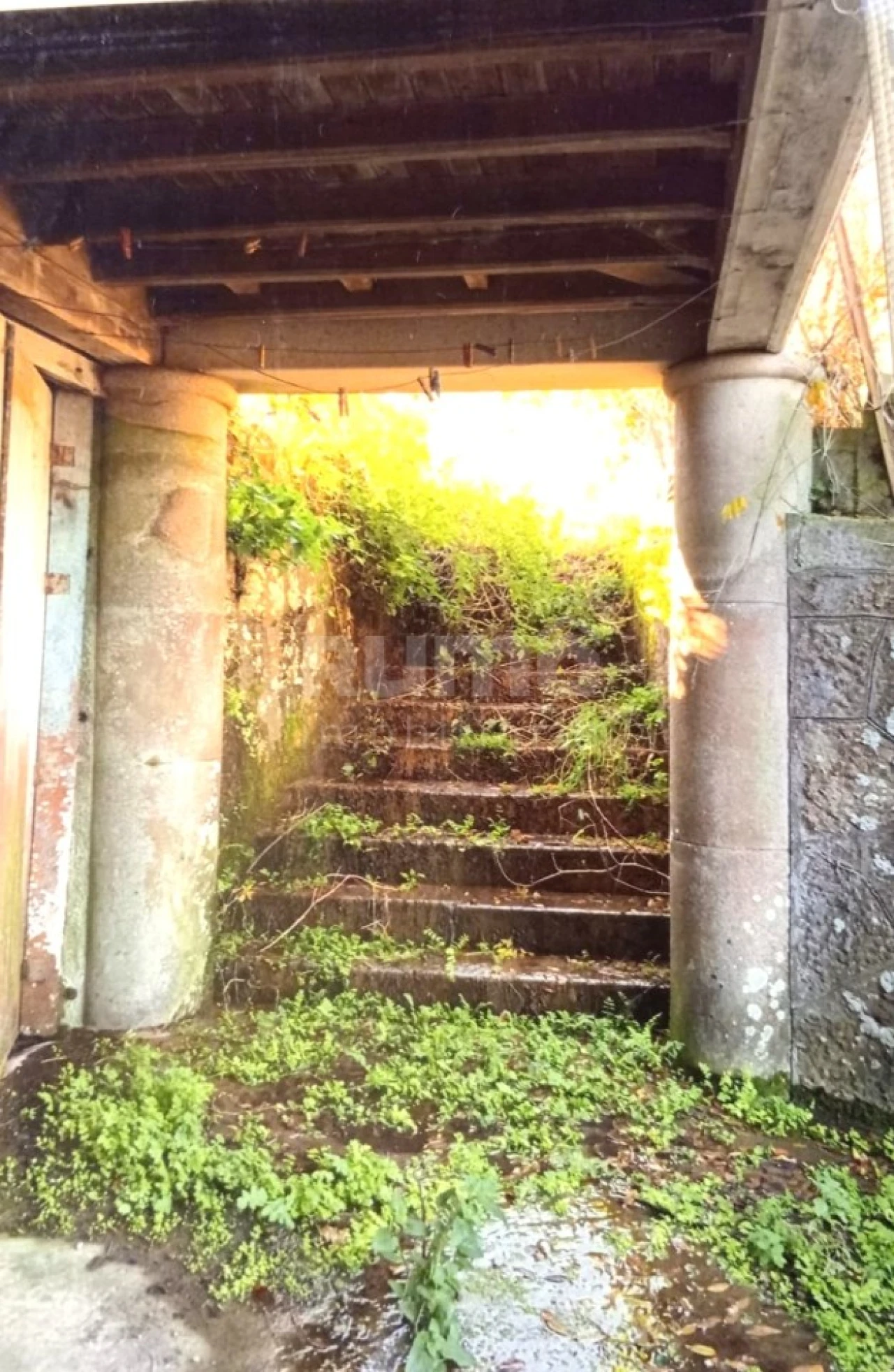 Quinta T7 para Venda em Cristoval Foto 28