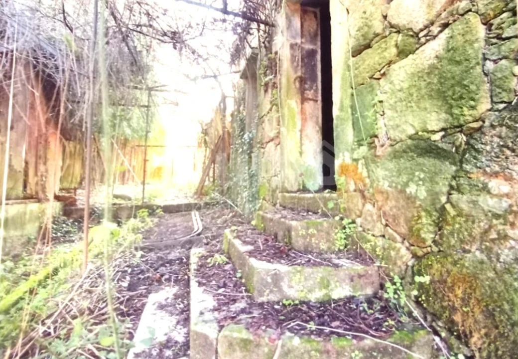 Quinta T7 para Venda em Cristoval Foto 31