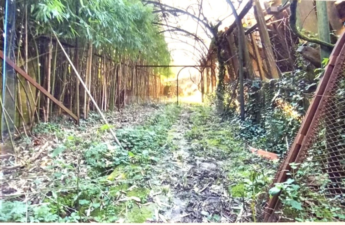 Quinta T7 para Venda em Cristoval Foto 32