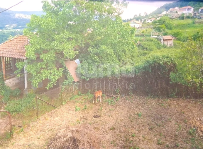 Quinta T7 para Venda em Cristoval Foto 23