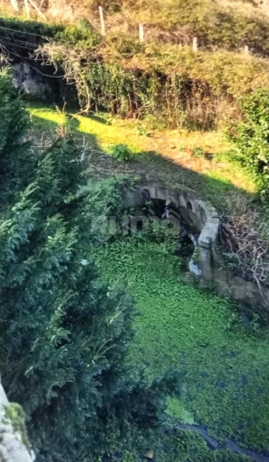 Quinta T7 para Venda em Cristoval Foto 24