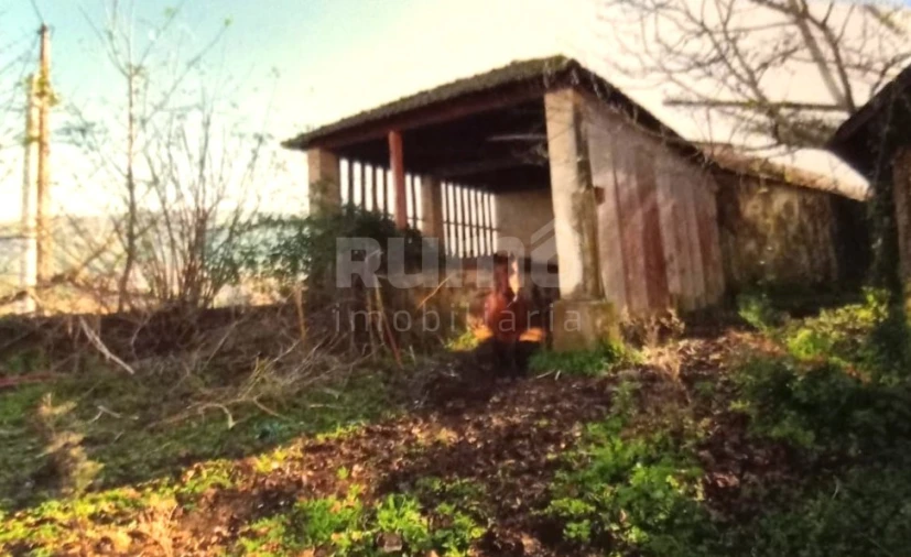 Quinta T7 para Venda em Cristoval Foto 29