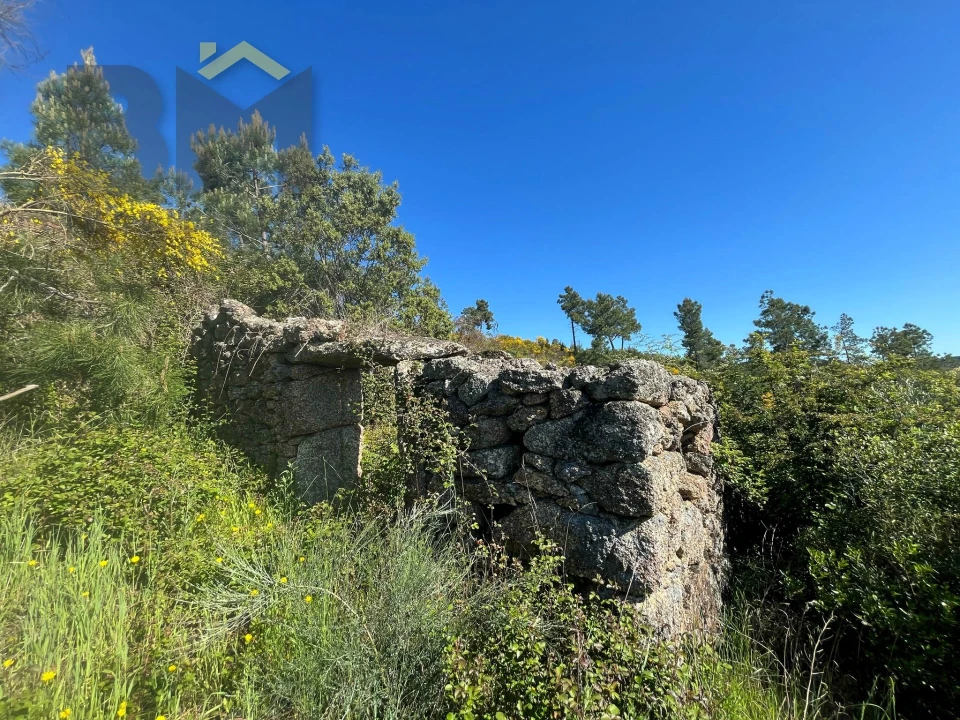 Terreno Agricola ou Rústico para Venda em Salgueiro do Campo Foto 8