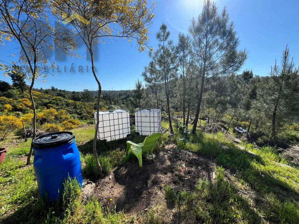 Terreno Agricola ou Rústico para Venda em Salgueiro do Campo Foto 7