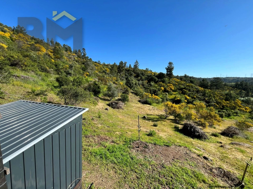 Terreno Agricola ou Rústico para Venda em Salgueiro do Campo Foto 11