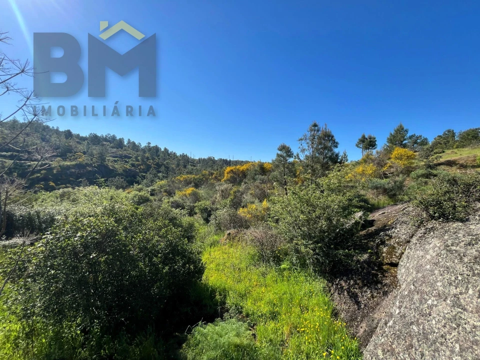 Terreno Agricola ou Rústico para Venda em Salgueiro do Campo Foto 21