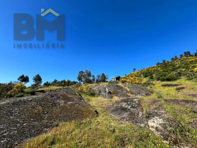 Terreno Agricola ou Rústico para Venda em Salgueiro do Campo Foto 24