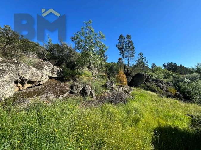 Terreno Agricola ou Rústico para Venda em Salgueiro do Campo Foto 19