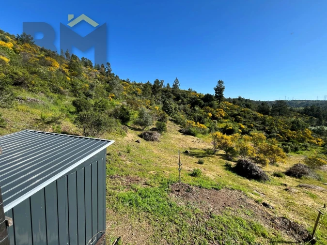 Terreno Agricola ou Rústico para Venda em Salgueiro do Campo Foto 11