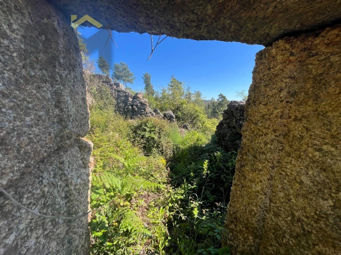 Terreno Agricola ou Rústico para Venda em Salgueiro do Campo Foto 9