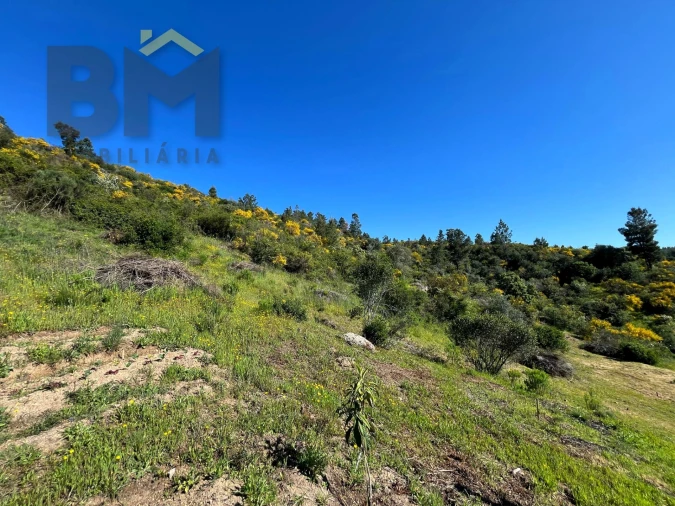 Terreno Agricola ou Rústico para Venda em Salgueiro do Campo Foto 22