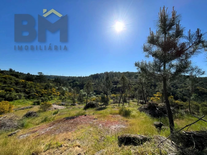 Terreno Agricola ou Rústico para Venda em Salgueiro do Campo Foto 17