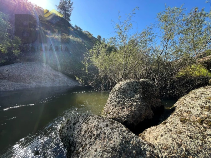 Terreno Agricola ou Rústico para Venda em Salgueiro do Campo Foto 14