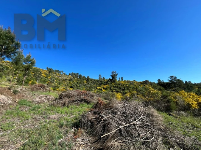 Terreno Agricola ou Rústico para Venda em Salgueiro do Campo Foto 18