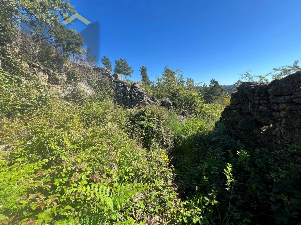 Terreno Agricola ou Rústico para Venda em Salgueiro do Campo Foto 10