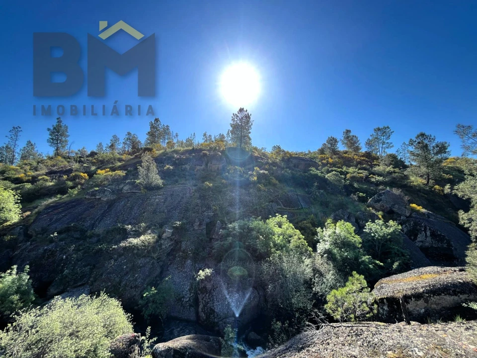Terreno Agricola ou Rústico para Venda em Salgueiro do Campo Foto 13