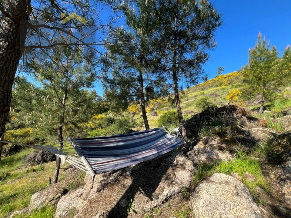 Terreno Agricola ou Rústico para Venda em Salgueiro do Campo Foto 12