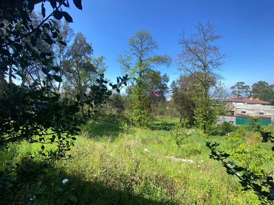 Quinta T3 para Venda em Lamelas e Guimarei Foto 6