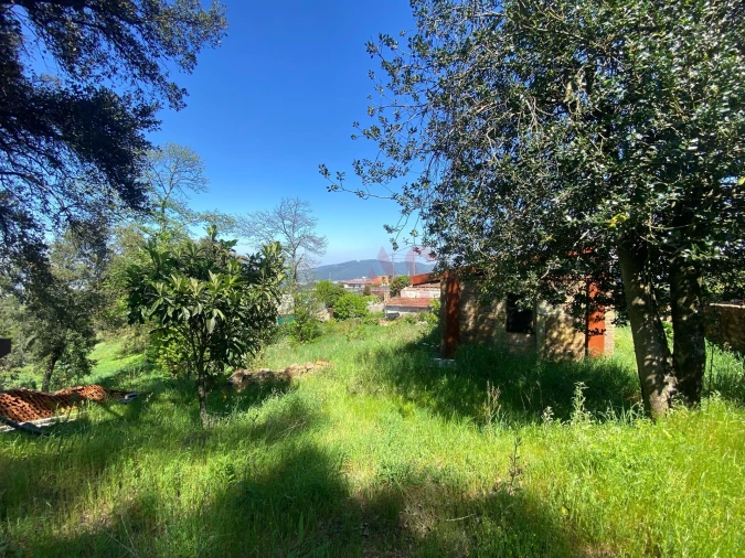 Quinta T3 para Venda em Lamelas e Guimarei Foto 12