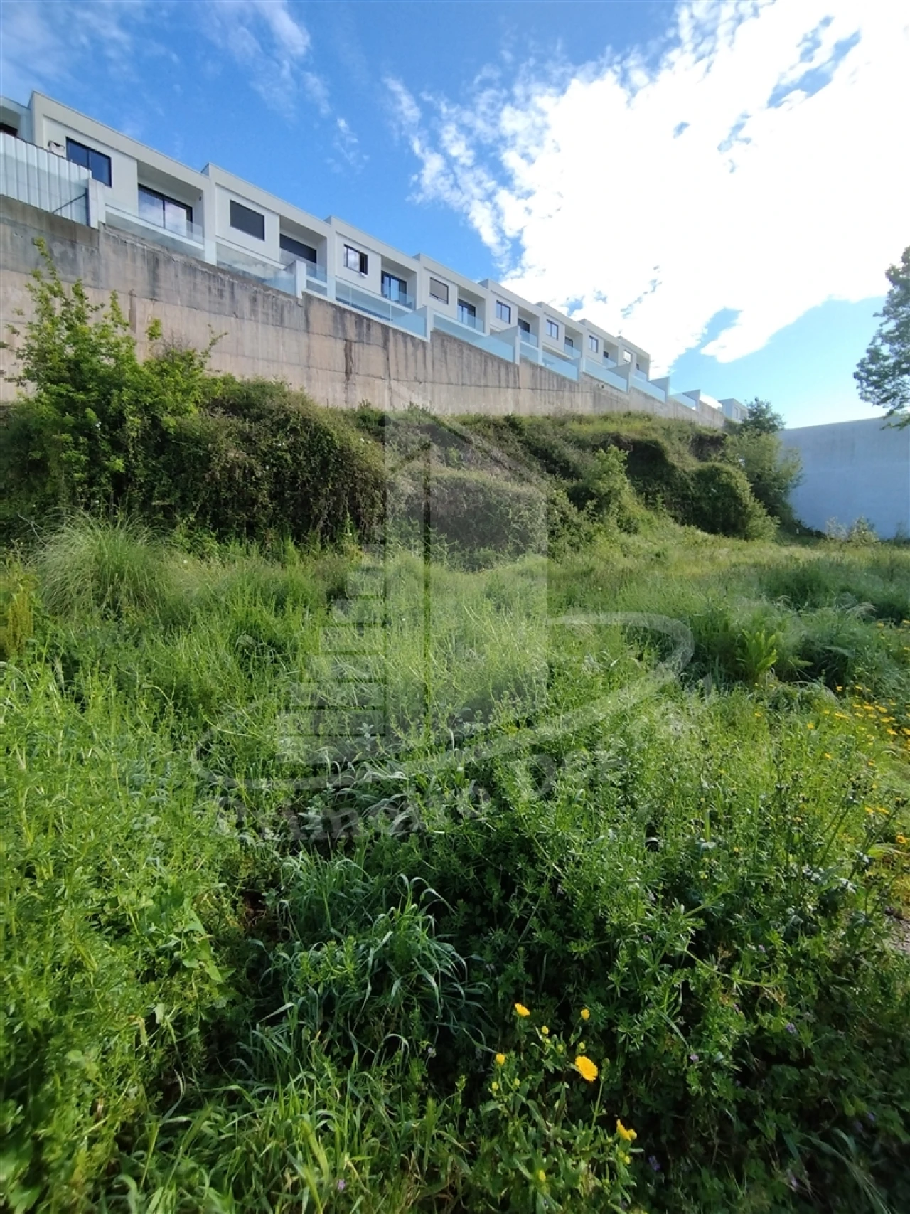 Terreno para Venda em Gualtar Foto 5