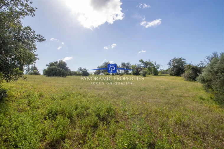 Terreno para Venda em Lagoa e Carvoeiro Foto 9