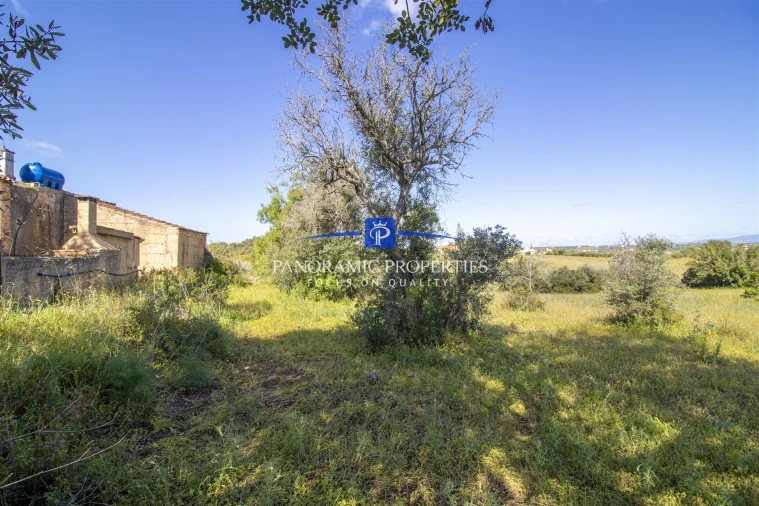 Terreno para Venda em Lagoa e Carvoeiro Foto 5