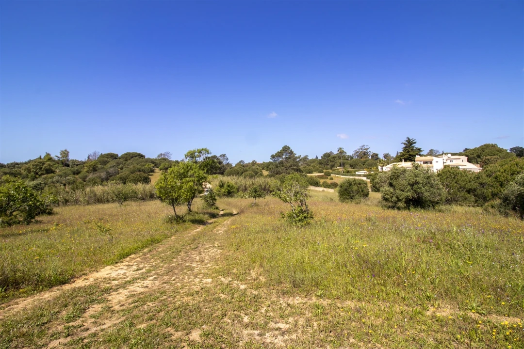 Terreno para Venda em Lagoa e Carvoeiro Foto 14