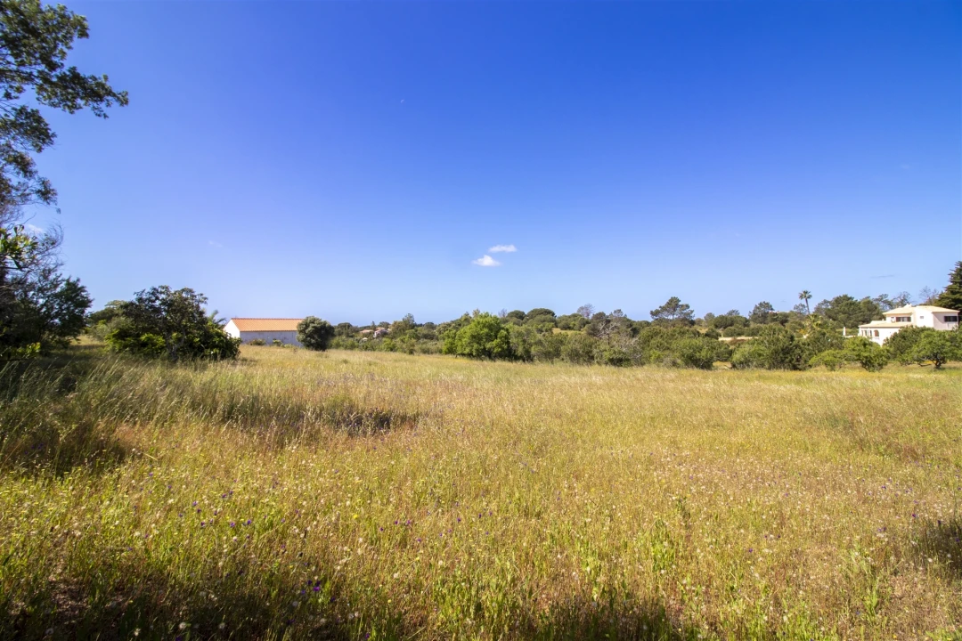 Terreno para Venda em Lagoa e Carvoeiro Foto 8