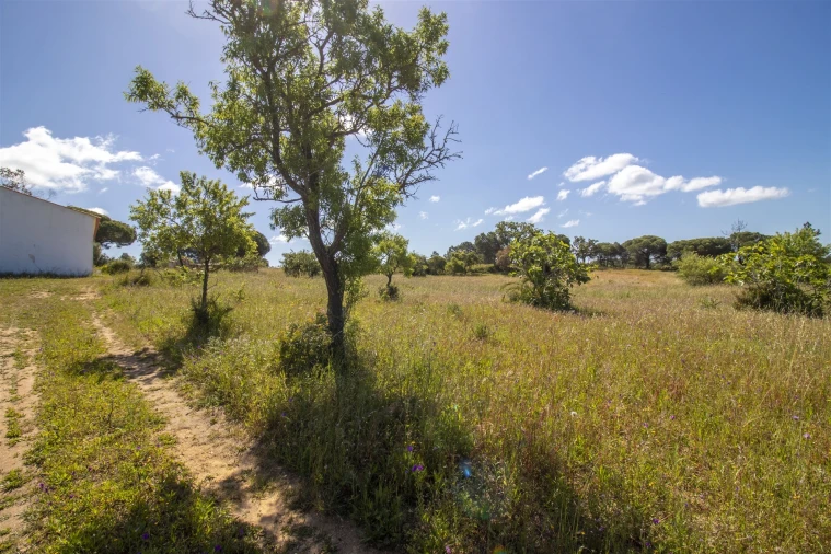 Terreno para Venda em Lagoa e Carvoeiro Foto 4