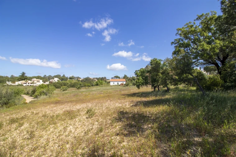 Terreno para Venda em Lagoa e Carvoeiro Foto 16