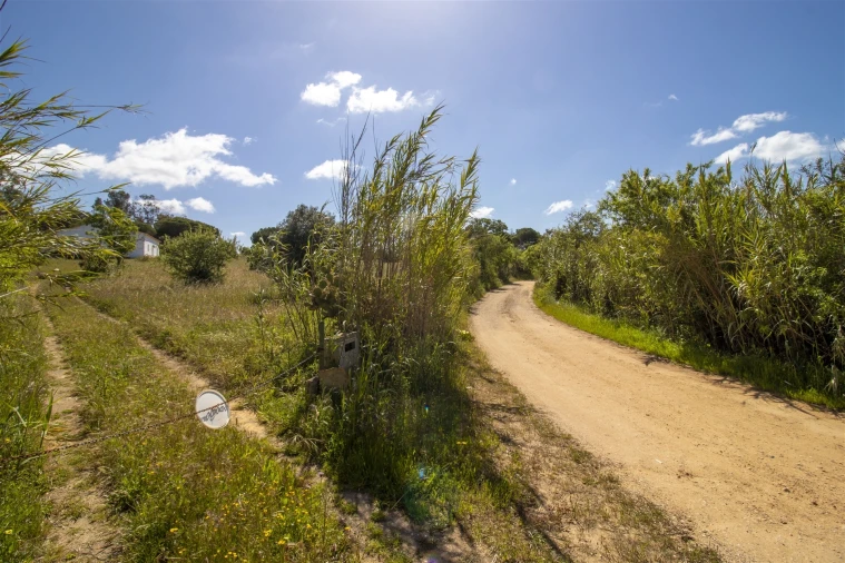Terreno para Venda em Lagoa e Carvoeiro Foto 3
