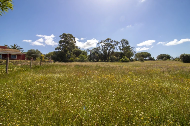 Terreno para Venda em Lagoa e Carvoeiro Foto 11