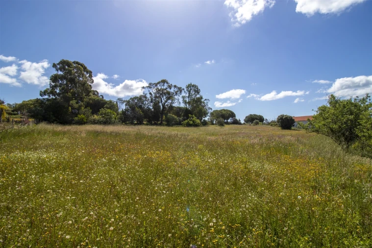 Terreno para Venda em Lagoa e Carvoeiro Foto 12