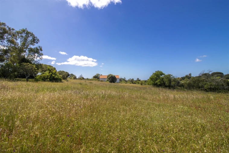 Terreno para Venda em Lagoa e Carvoeiro Foto 10