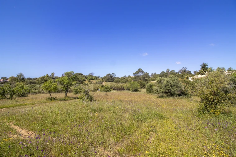 Terreno para Venda em Lagoa e Carvoeiro Foto 13