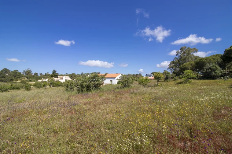 Terreno para Venda em Lagoa e Carvoeiro Foto 15