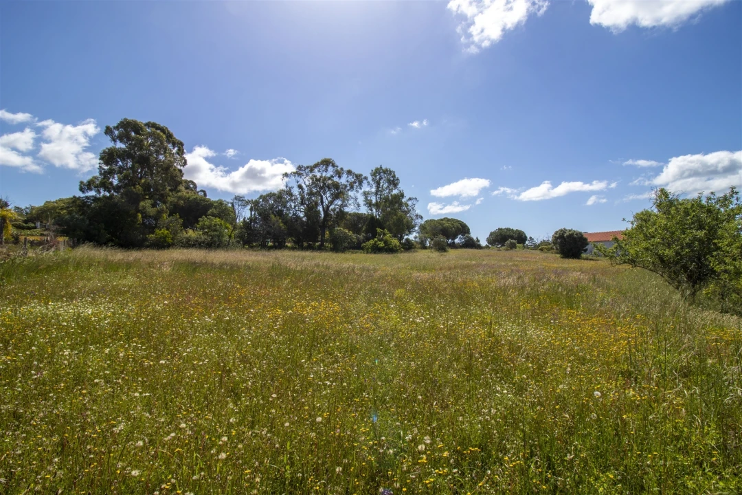 Terreno para Venda em Lagoa e Carvoeiro Foto 12