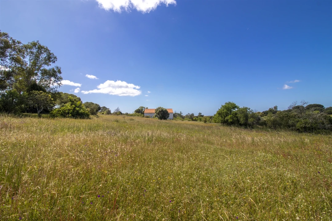 Terreno para Venda em Lagoa e Carvoeiro Foto 10