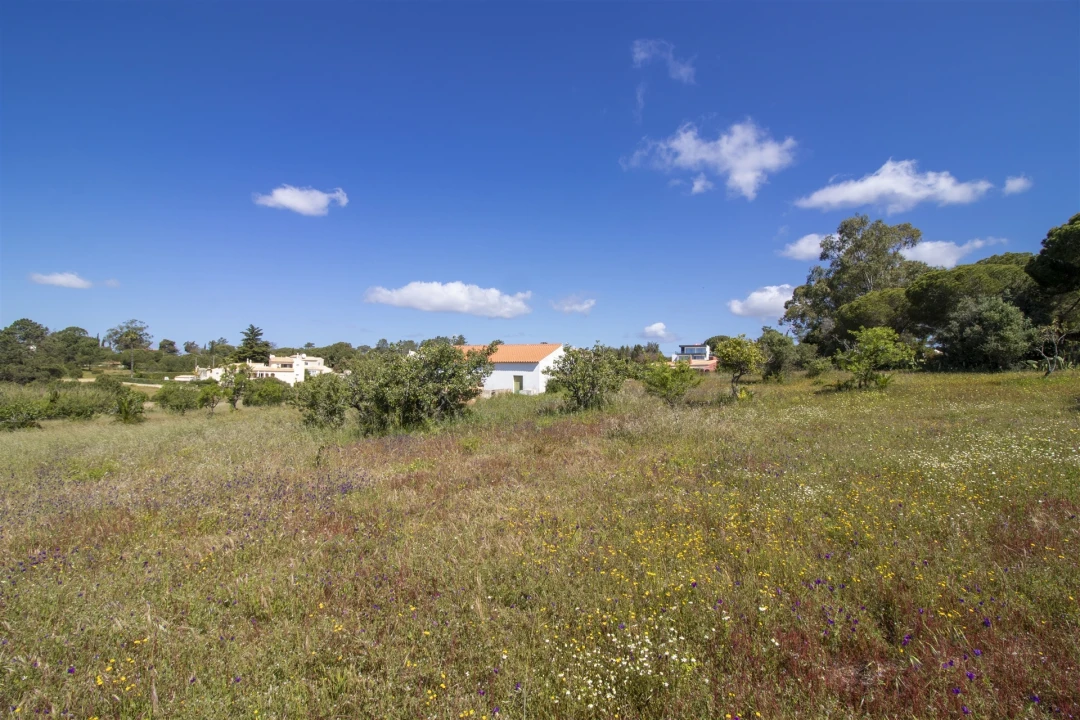 Terreno para Venda em Lagoa e Carvoeiro Foto 15
