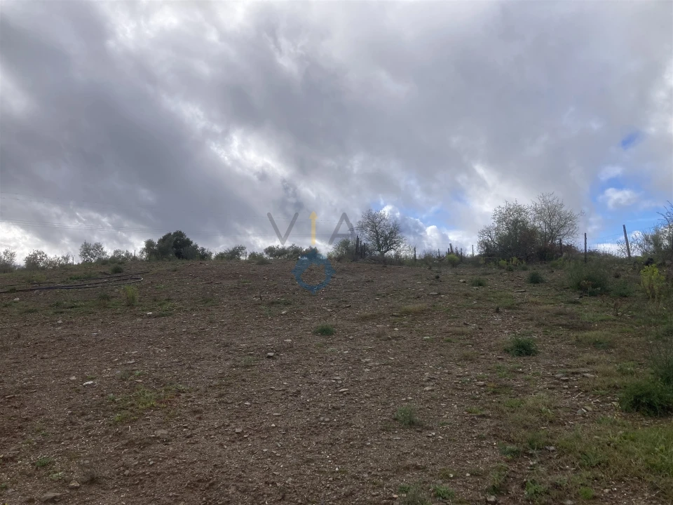 Moradia T0 para Venda em Castro Vicente Foto 21