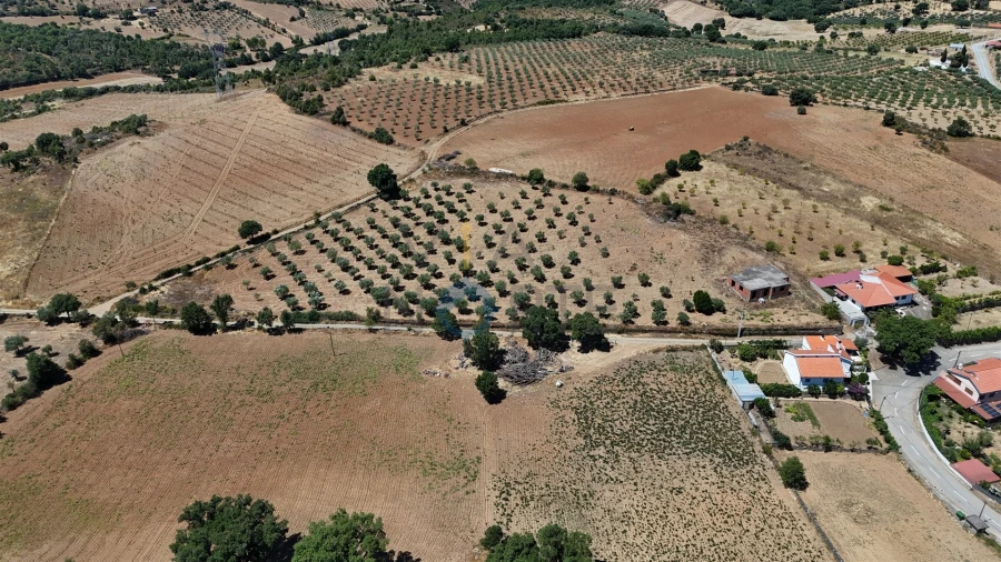 Moradia T0 para Venda em Castro Vicente Foto 25