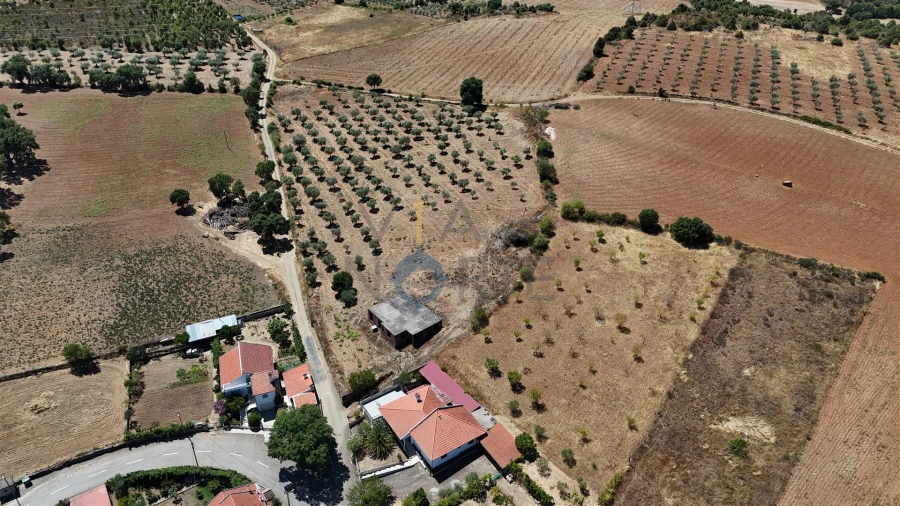 Moradia T0 para Venda em Castro Vicente Foto 27