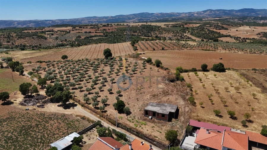 Moradia T0 para Venda em Castro Vicente Foto 1