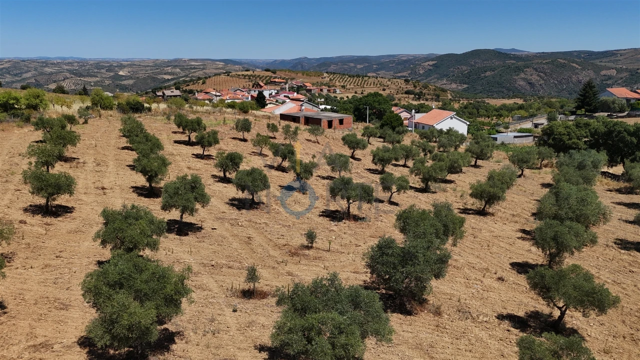 Moradia T0 para Venda em Castro Vicente Foto 30