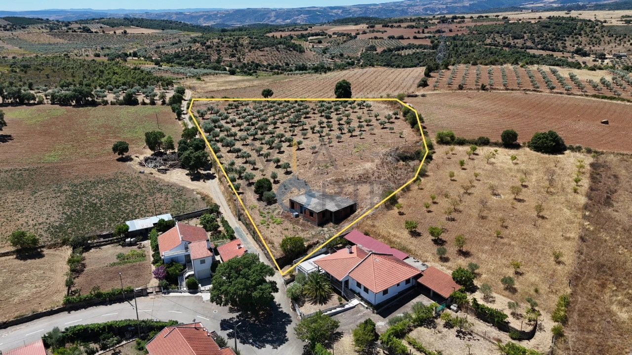 Moradia T0 para Venda em Castro Vicente Foto 2