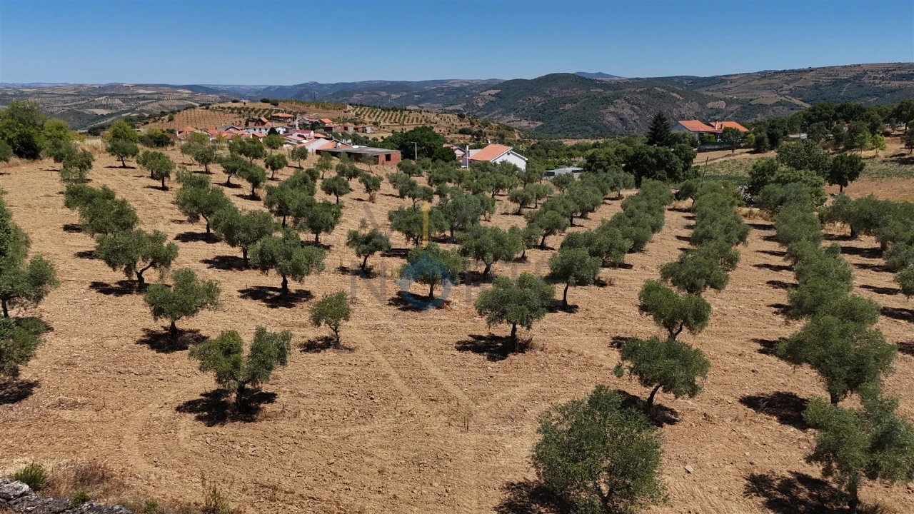 Moradia T0 para Venda em Castro Vicente Foto 29