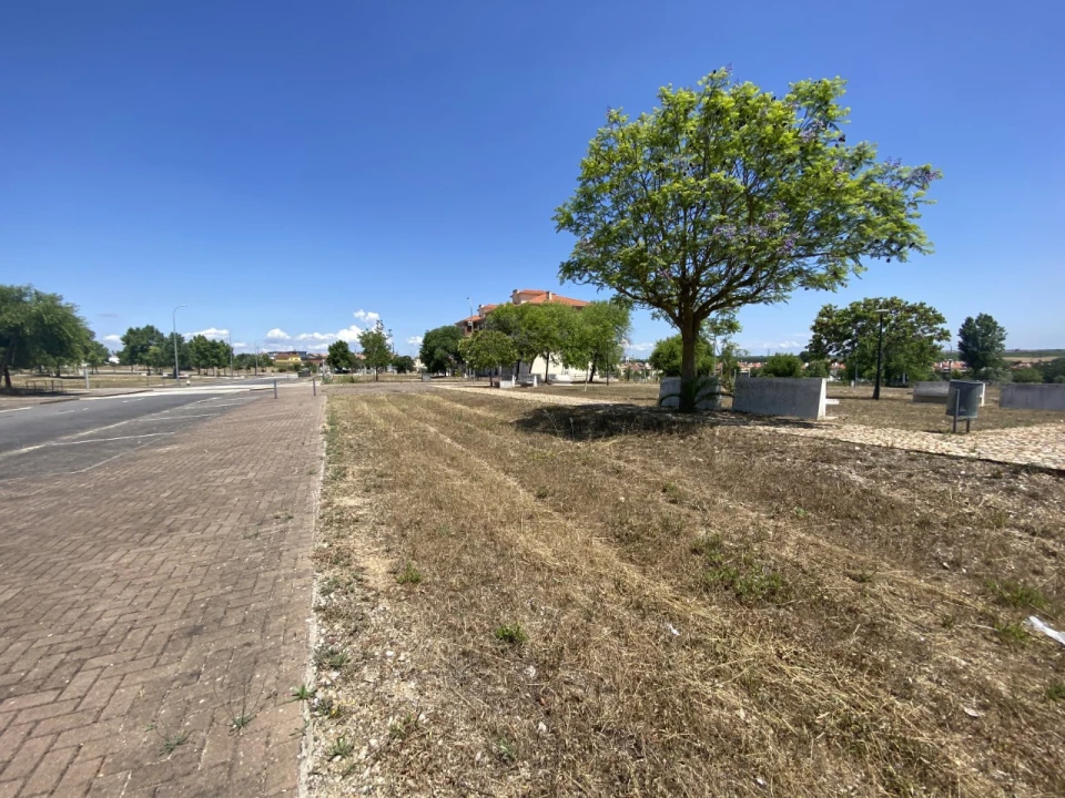 Terreno para Venda em Marvila, Ribeira Santarém, São Salvador, São Nicolau Foto 9