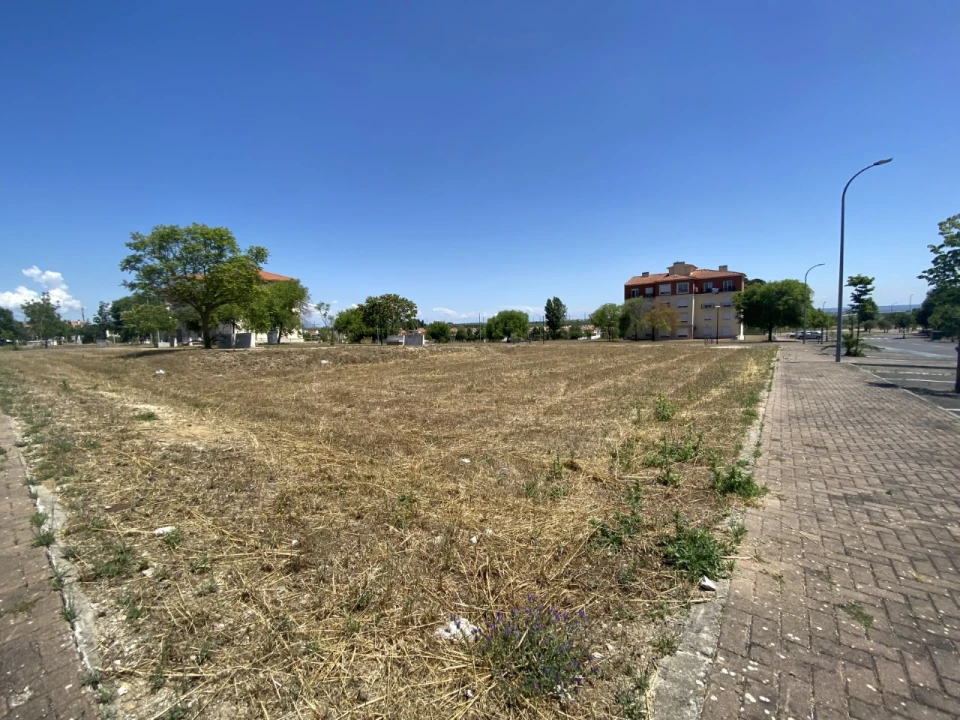 Terreno para Venda em Marvila, Ribeira Santarém, São Salvador, São Nicolau Foto 15