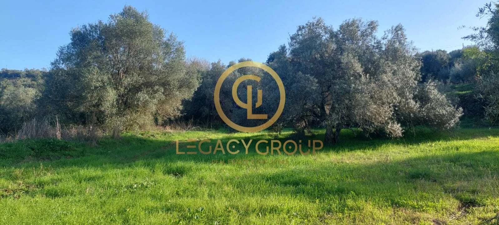 Terreno para Venda em Alte Foto 12