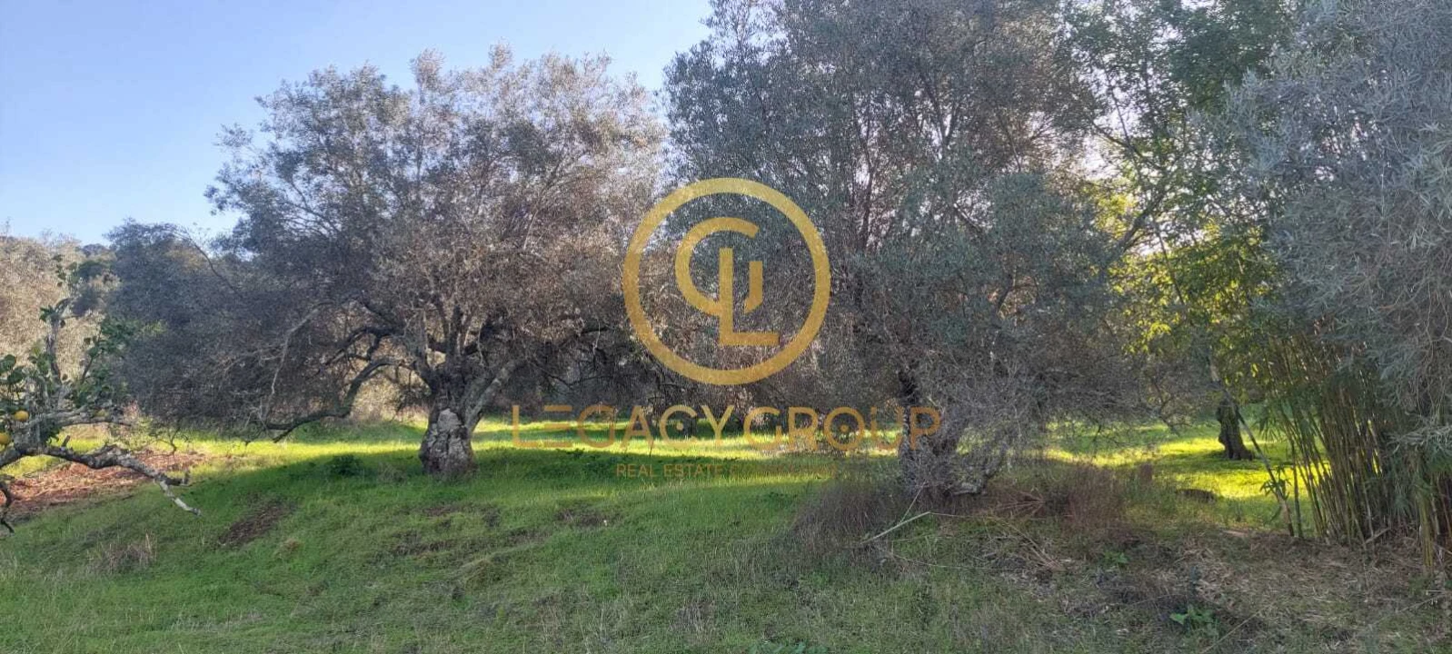 Terreno para Venda em Alte Foto 9